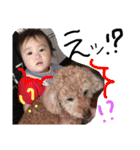 やんちゃBoysときどき犬（個別スタンプ：13）