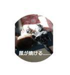 半端ない！！（個別スタンプ：1）