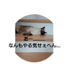 半端ない！！（個別スタンプ：3）