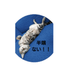 半端ない！！（個別スタンプ：4）