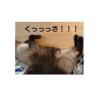 半端ない！！（個別スタンプ：5）