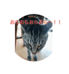 半端ない！！（個別スタンプ：7）
