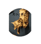 半端ない！！（個別スタンプ：8）