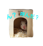 生ハムとおもちとだんご（個別スタンプ：2）