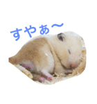 生ハムとおもちとだんご（個別スタンプ：6）