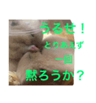 生ハムとおもちとだんご（個別スタンプ：8）