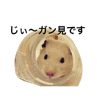 生ハムとおもちとだんご（個別スタンプ：9）