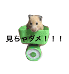 生ハムとおもちとだんご（個別スタンプ：14）