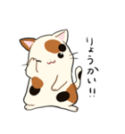 三毛猫さんの日常（個別スタンプ：1）