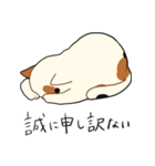 三毛猫さんの日常（個別スタンプ：7）