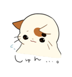 三毛猫さんの日常（個別スタンプ：8）