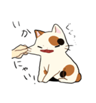 三毛猫さんの日常（個別スタンプ：10）
