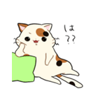 三毛猫さんの日常（個別スタンプ：13）