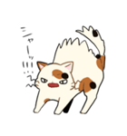 三毛猫さんの日常（個別スタンプ：15）