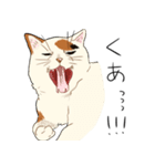 三毛猫さんの日常（個別スタンプ：16）