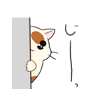 三毛猫さんの日常（個別スタンプ：20）
