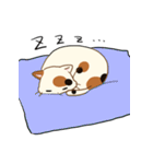 三毛猫さんの日常（個別スタンプ：23）