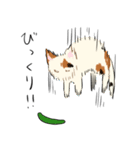 三毛猫さんの日常（個別スタンプ：29）