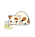 三毛猫さんの日常（個別スタンプ：31）
