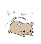 三毛猫さんの日常（個別スタンプ：34）