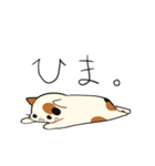三毛猫さんの日常（個別スタンプ：35）