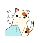 三毛猫さんの日常（個別スタンプ：36）