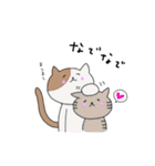 にゃん太の毎日スタンプ（個別スタンプ：1）