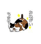 毎日おでとみちょ（個別スタンプ：36）