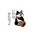 毎日おでとみちょ（個別スタンプ：37）