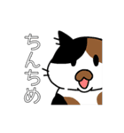 毎日おでとみちょ（個別スタンプ：38）