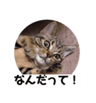 みたろーまん2（個別スタンプ：3）