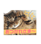 みたろーまん2（個別スタンプ：4）