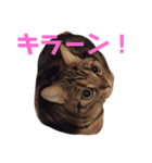 みたろーまん2（個別スタンプ：5）