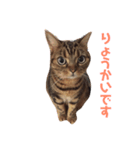 みたろーまん2（個別スタンプ：6）