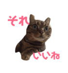 みたろーまん2（個別スタンプ：7）