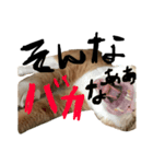 トロとたまに使う言葉シリーズ（個別スタンプ：1）