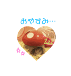 我が家ののハムカツ子（個別スタンプ：1）