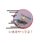 我が家ののハムカツ子（個別スタンプ：4）