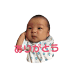 ぽんタンプ！！（個別スタンプ：7）