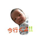 ぽんタンプ！！（個別スタンプ：16）