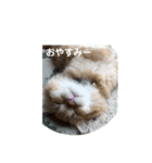 まるきゃっと2（個別スタンプ：14）