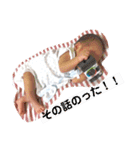 太陽2（個別スタンプ：18）
