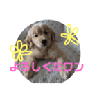希少価値（個別スタンプ：4）
