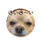 希少価値（個別スタンプ：8）