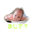 かわいいちわわと赤ちゃん（個別スタンプ：38）