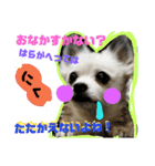 コンタさんの日常02（個別スタンプ：3）