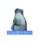 トイプードル華2（個別スタンプ：8）
