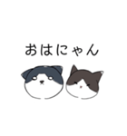 ねこひなた①（個別スタンプ：1）