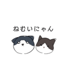 ねこひなた①（個別スタンプ：3）