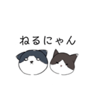 ねこひなた①（個別スタンプ：5）